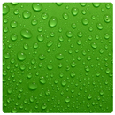 Fresh Green Wallpaper APK