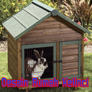 50 Best Rabbit Cage Designs APK