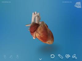 Heart Explore 3D screenshot 1