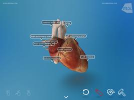 Heart Explore 3D screenshot 2