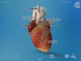 Heart Explore 3D screenshot 3