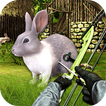 Rabbit Hunting : BowMaster Hunting Challenge Game