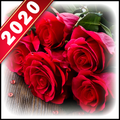 Valentine Day 2020