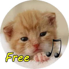 call Cat APK download