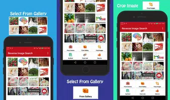 Reverse Image Search screenshot 5