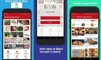 Reverse Image Search screenshot 6