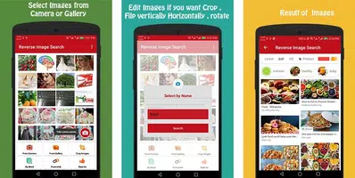 Reverse Image Search screenshot 3