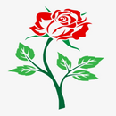 Rose Cultivation APK