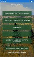 CO Woody Plants poster
