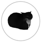 Maxwell Runner - maxwell cat icône