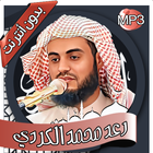 رعد الكردي- القرآن بدون أنترنت icon