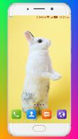 Rabbit Wallpaper HD ảnh chụp màn hình 2