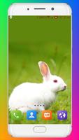 Rabbit Wallpaper HD ảnh chụp màn hình 3