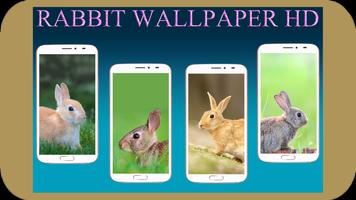 Rabbit Wallpaper Affiche