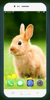 Rabbit Wallpaper imagem de tela 3