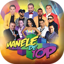 Manele de Petrecere APK