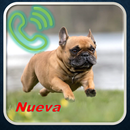 Tonos de Perros, Ringtones Gratis, Perro Ladrando APK