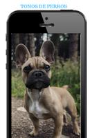 Dog Tones, Free Ringtones, Dog Barking screenshot 1