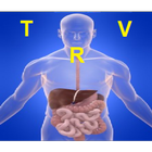 La Radiologique  Viscérale simgesi