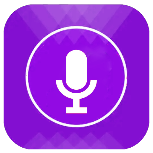 voice recorder 2020