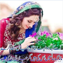love poetry Urdu Shari,Urdu Po APK