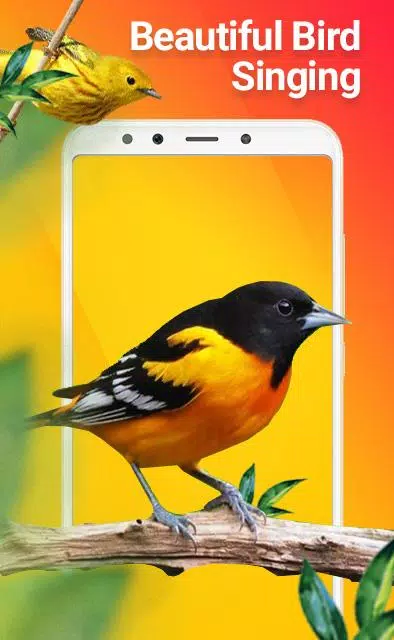 Bester Vogelgesang (MP3) APK für Android herunterladen