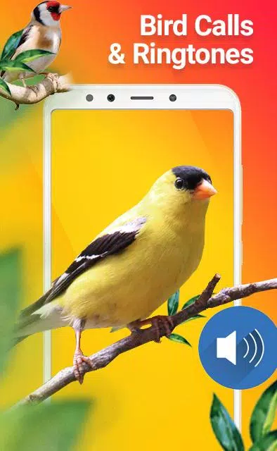 New Birds Ringtones 2021 - Bird sound mp3 APK for Android Download