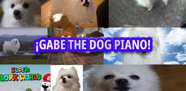 Piano Gabe el perro