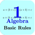 Algebra Tutorial 1: Basics