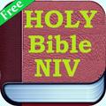 Holy Bible NIV