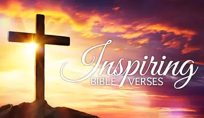 Ewe Bible Old & New Testament APK download