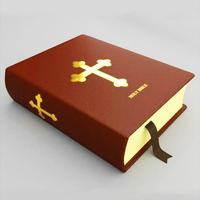 Audio NLT Bible - New Living Translation Bible Affiche