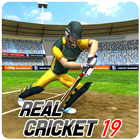 Real Cricket Championship 2019 آئیکن