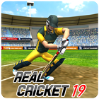 Real Cricket Championship 2019 图标