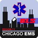 Region 11 BLS Protocols APK