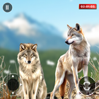Wolf Animal Simulator Game 3d icon