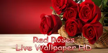 紅玫瑰 動態壁紙 高清-紅色玫瑰 動態桌布