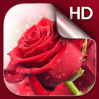 Rosas Papel de Parede Animado ícone