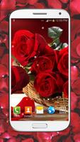 Красные Розы Живые Обои ХД постер