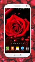 Red Roses Live Wallpaper HD screenshot 1