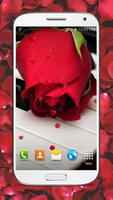 Red Roses Live Wallpaper HD screenshot 2