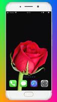 برنامه‌نما Red Rose Wallpaper عکس از صفحه