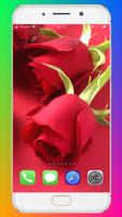 برنامه‌نما Red Rose Wallpaper عکس از صفحه