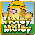Holey Moley