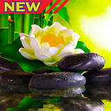 Relaxation Music 图标