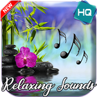 Relaxing Music 2021 أيقونة