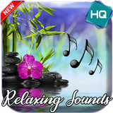 Relaxing Music 2021 icon