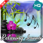 Relaxing Music 2021 icono