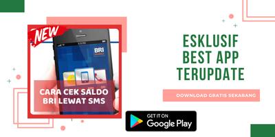 Cara Cek Saldo BRI Lewat SMS Affiche