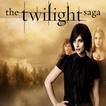 Twilight Puzzle